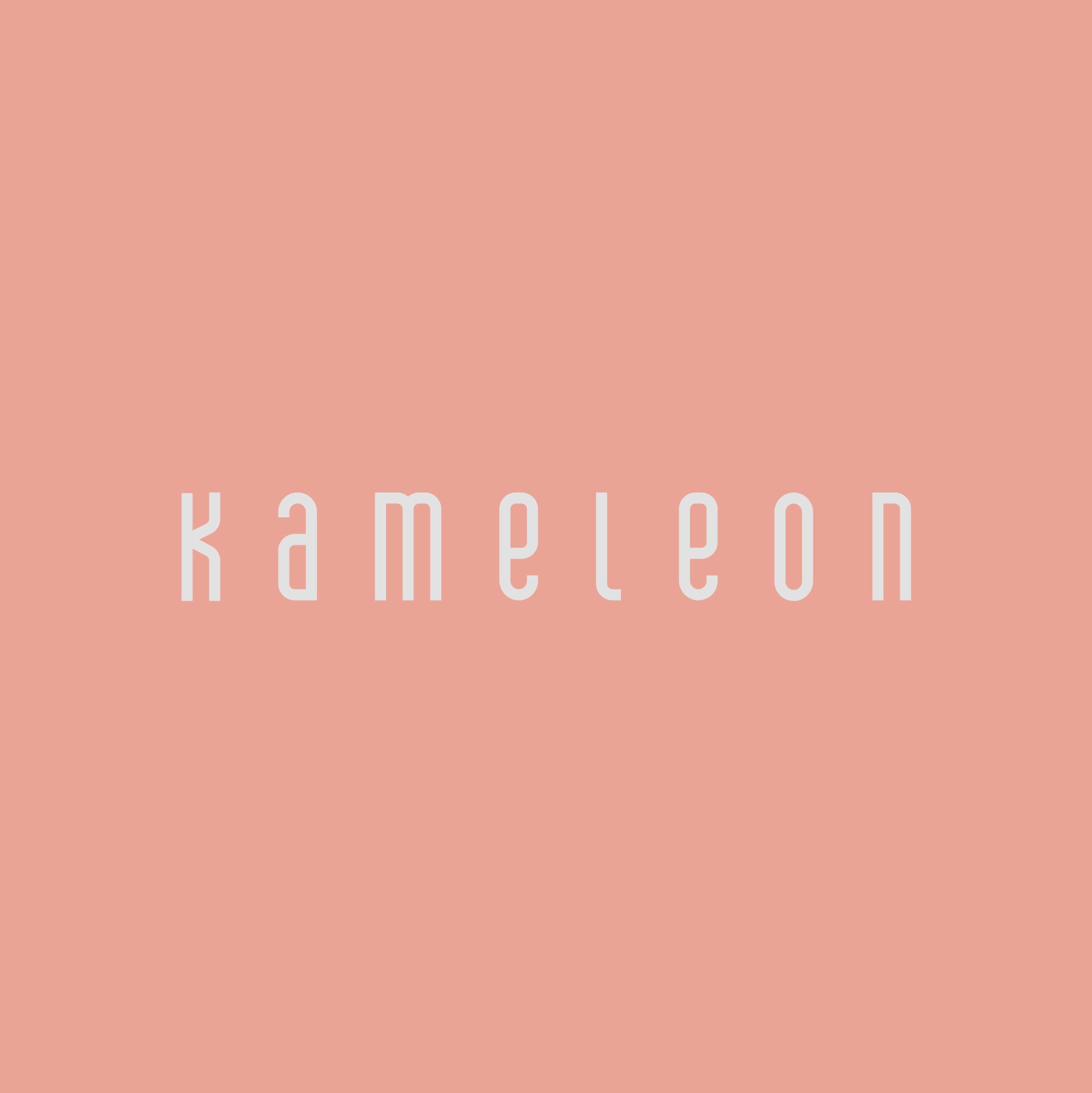 Kameleon Nijmegen - Logo