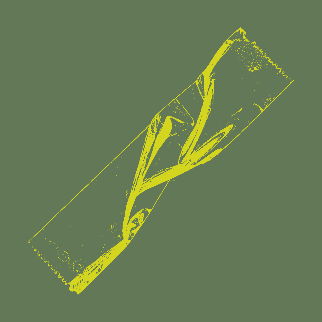 De Horde - plakbandje