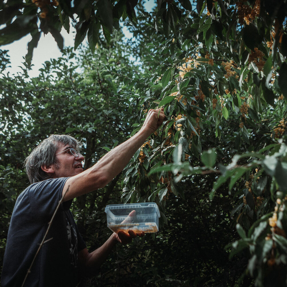 Emile van der Staak - Restaurant De Nieuwe Winkel