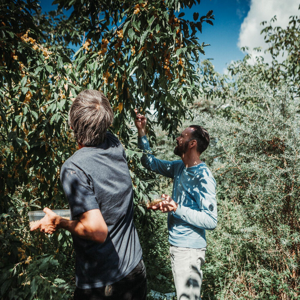 Emile van der Staak - Restaurant De Nieuwe Winkel