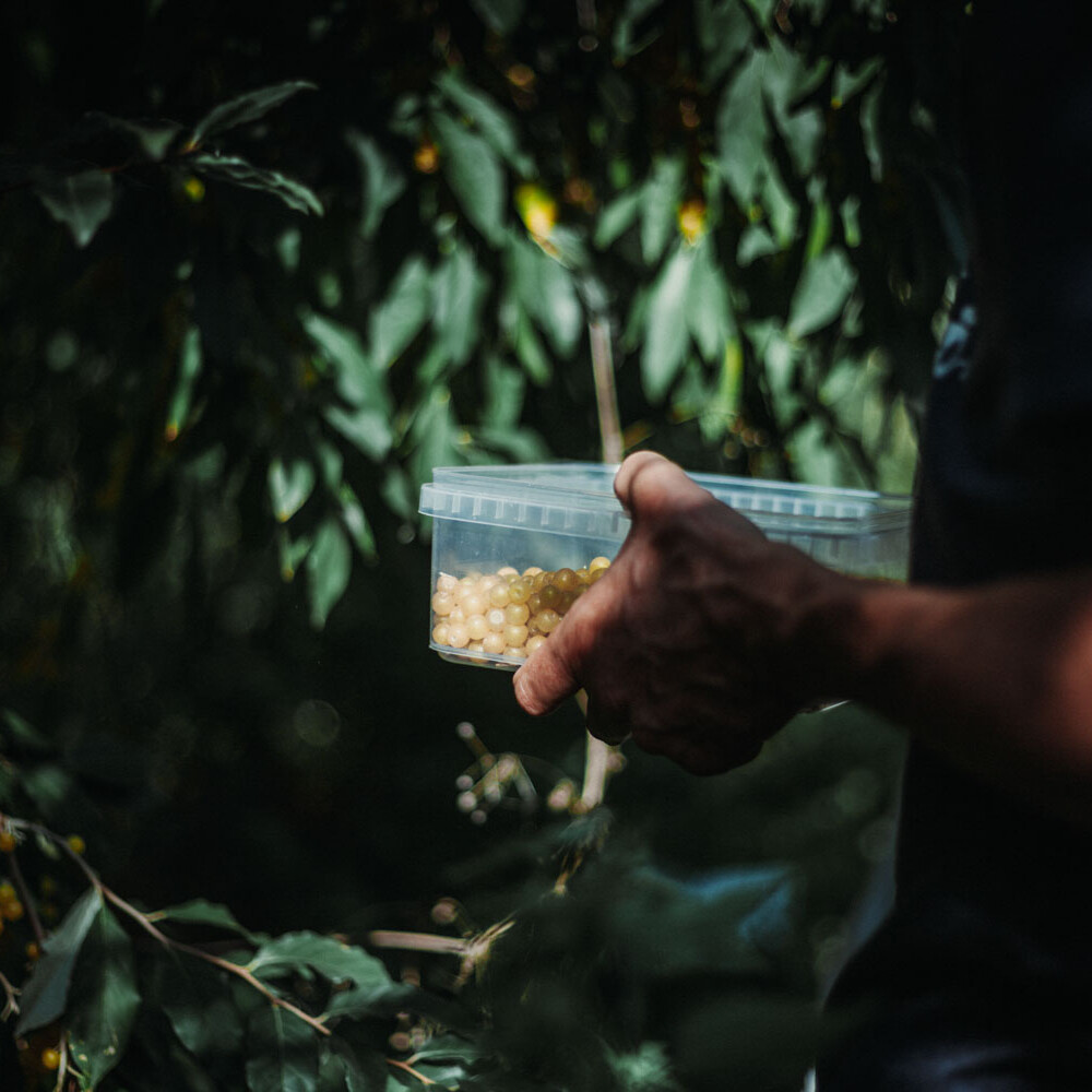 Emile van der Staak - Restaurant De Nieuwe Winkel