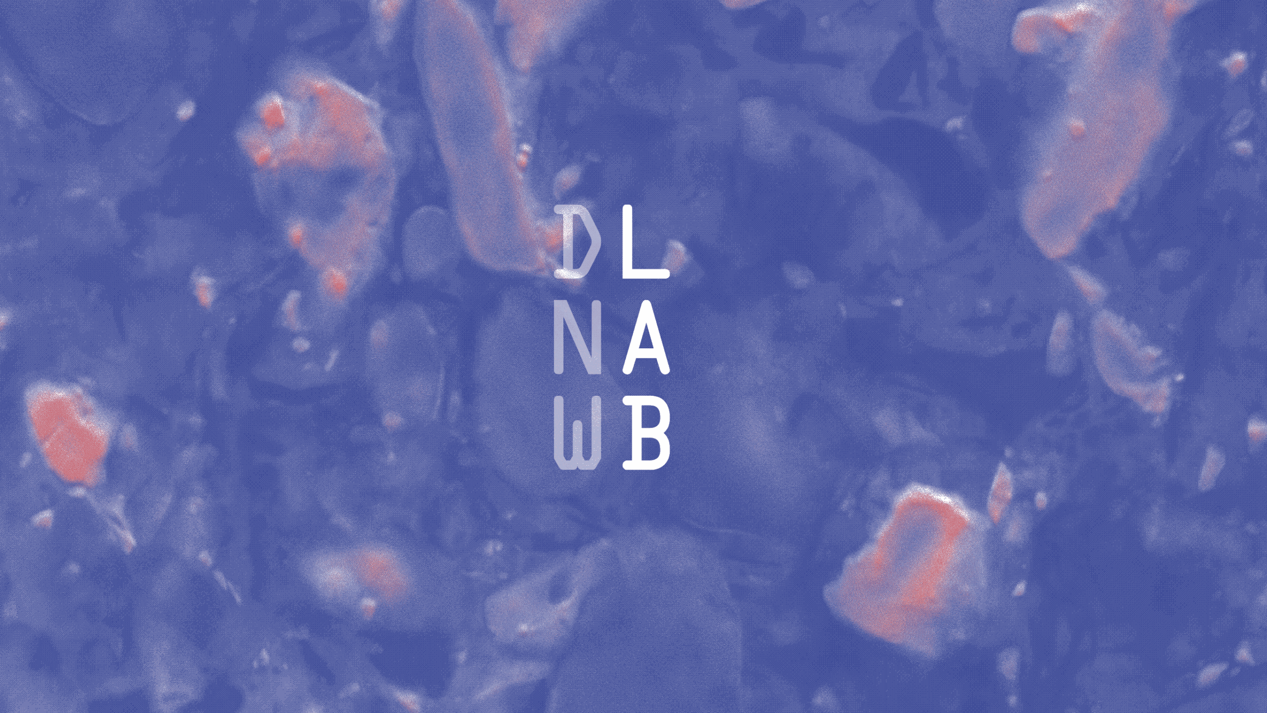 DNW Lab logo Almon Chocolate