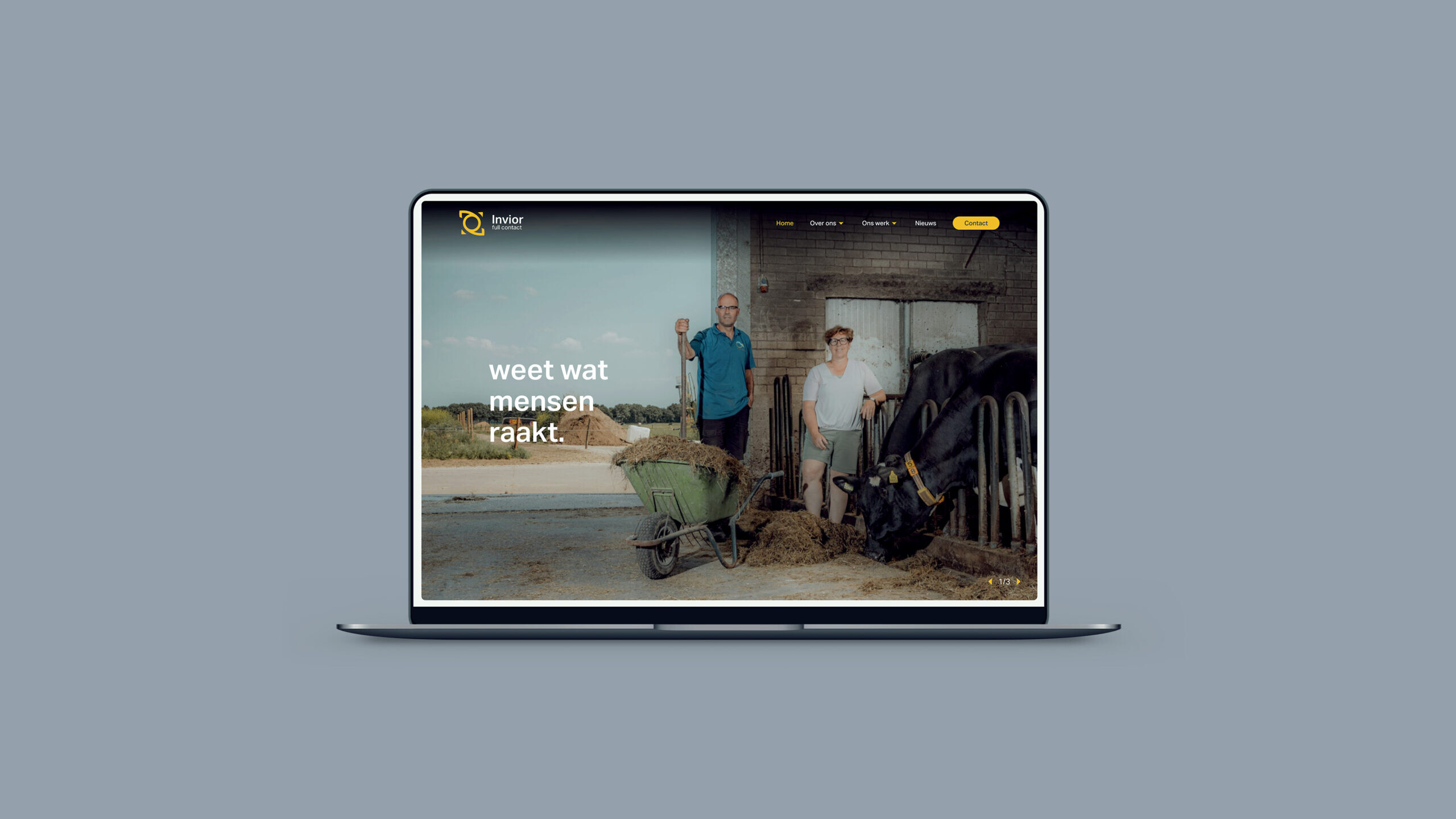 Invior full contact website nijmegen horst