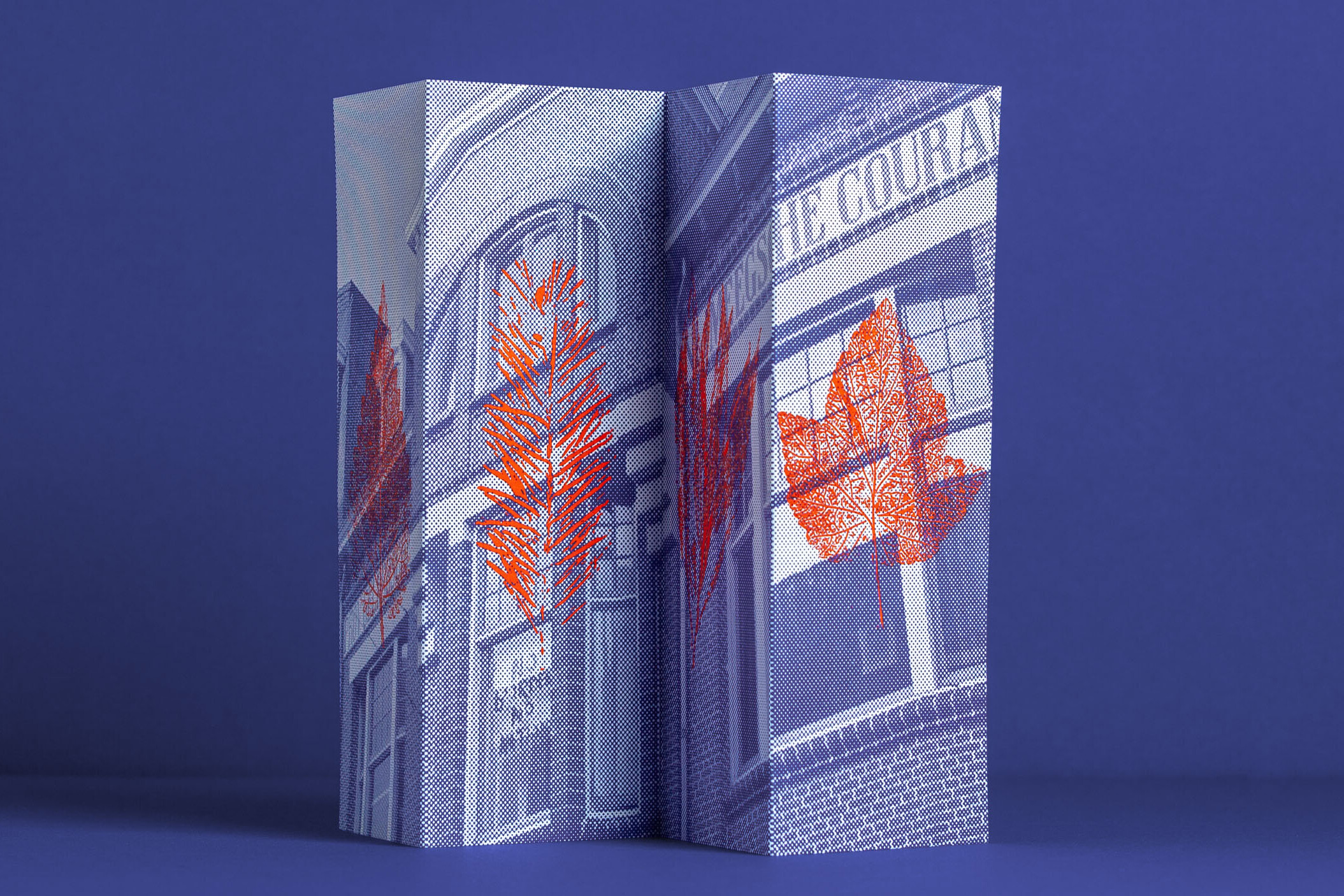 De Nieuwe Winkel X De Grote Broek menukaart
