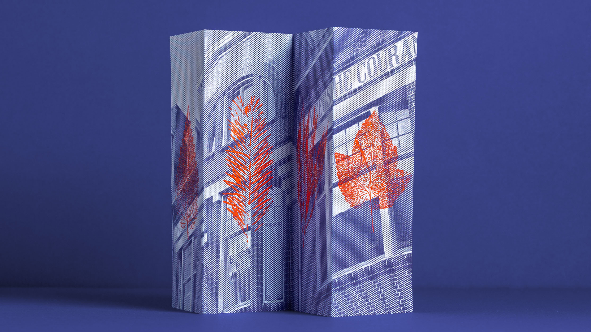 De Nieuwe Winkel X De Grote Broek menukaart